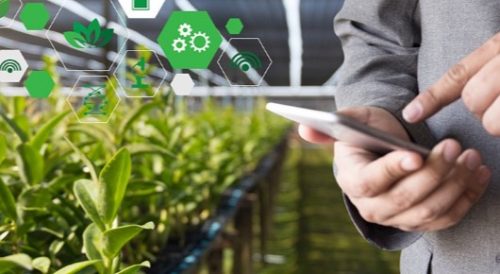 AGRICULTURAL AI YIELDS BETTER CROPS THROUGH DATA ANALYTICS - REDtone